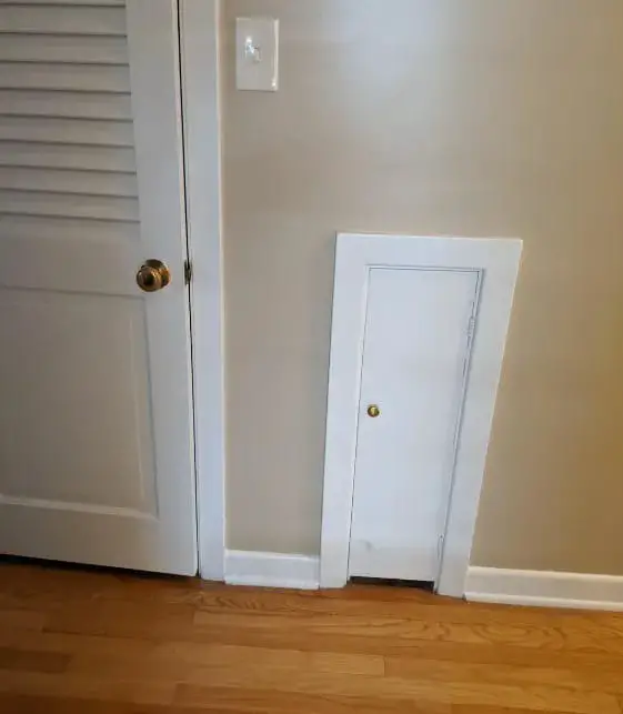 “i Saw This Little Door From My Neighbor. I’m Confused.